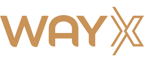 Grupo WAYx — Educação Empreendedora